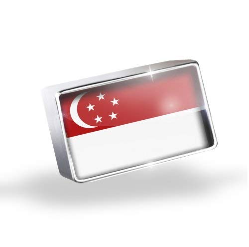 NEONBLOND Floating Charm Singapore Flag Fits Glass Lockets