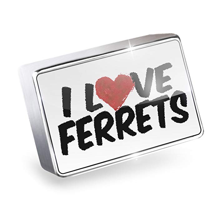 NEONBLOND Floating Charm I Love Ferrets Fits Glass Lockets