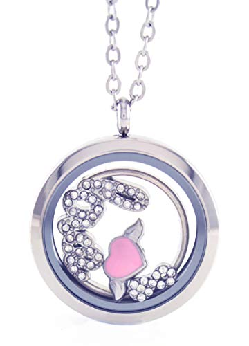 BG247 Stainless Steel Floating Locket Necklace with Choice of 6 Charms, 1 Plate, and Matching Chain (Silver No Stone Circle)