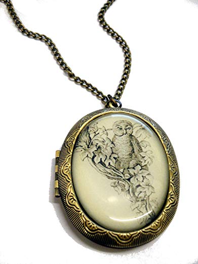 Fallen Saint Owl & Flowers Cameo Locket Necklace