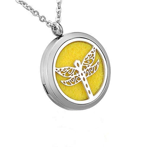 HooAMI Essential Oil Diffuser Necklace Aromatherapy Jewelry Gift Set - 316L Stainless Steel Dragonfly Locket Pendant,24