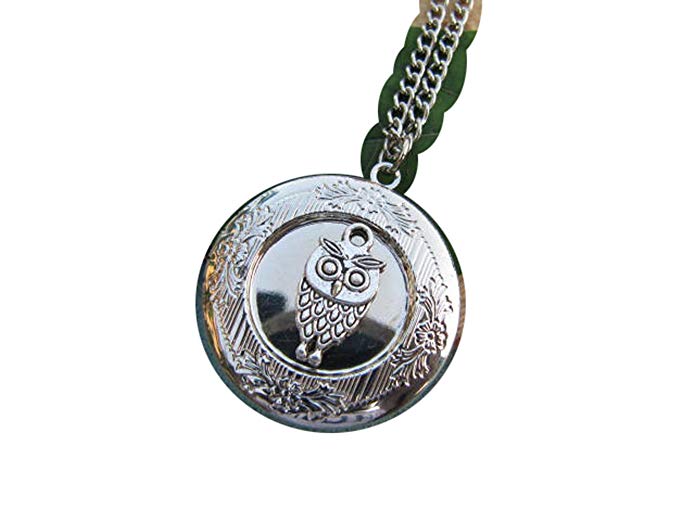 Owl Locket, Owl Locket Necklace, Owl Photo Locket Jewelry, Owl Jewelry Necklace, Owl Pendant