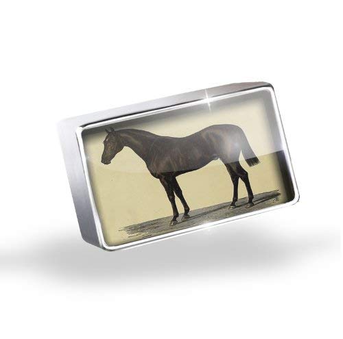 NEONBLOND Floating Charm Horse Art Fits Glass Lockets