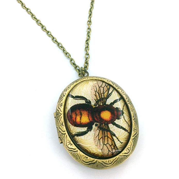 Vintage Style Bee Entomology Locket Necklace